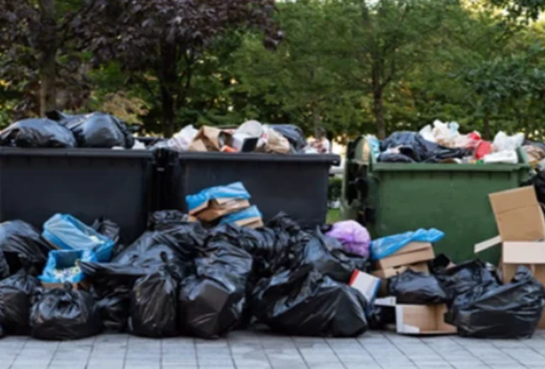 Yard cleanups (branches, leaves, soil).  